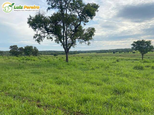 #2318 - Fazenda para Venda em Aparecida do Taboado - MS