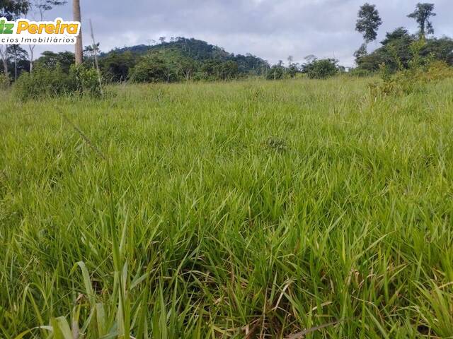 #2321 - Fazenda para Venda em São Félix do Xingu - PA - 3