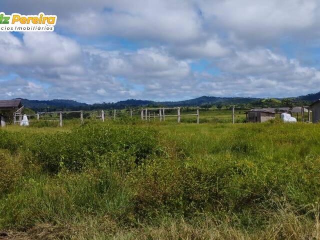 #2321 - Fazenda para Venda em São Félix do Xingu - PA - 1