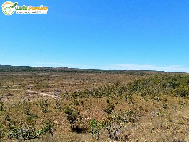 #2322 - Fazenda para Venda em Rio Sono - TO - 3