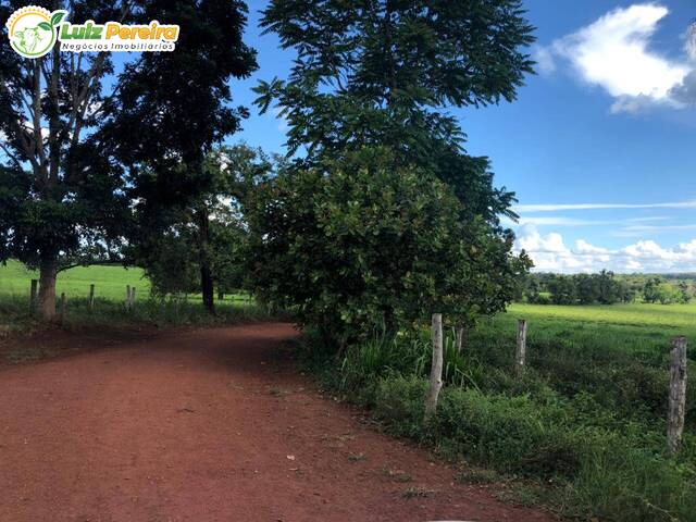 Venda em Zn Rural - Feira Nova do Maranhão