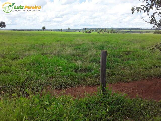 #2326 - Chácara para Venda em Feira Nova do Maranhão - MA - 3