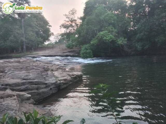 #2329 - Fazenda para Venda em Rio Verde de Mato Grosso - MS - 1