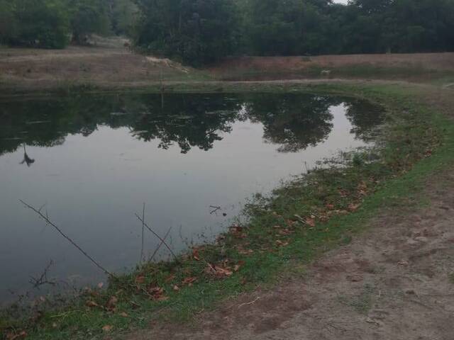 #2329 - Fazenda para Venda em Rio Verde de Mato Grosso - MS - 3