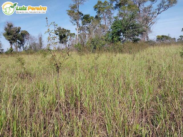 #2330 - Fazenda para Venda em Corumbá - MS - 2