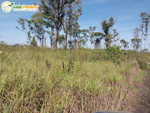 #2330 - Fazenda para Venda em Corumbá - MS - 3