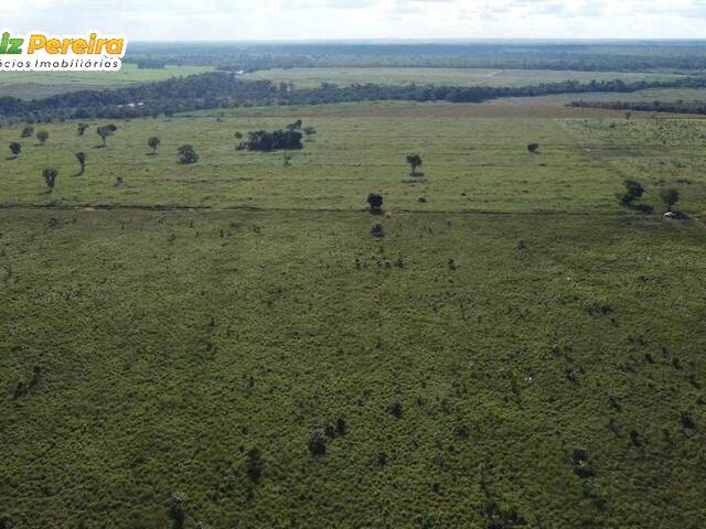 #2299 - Fazenda para Venda em Pacajá - PA - 3