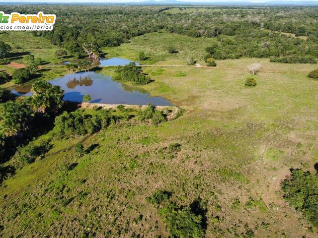 #2331 - Fazenda para Venda em Pedro Gomes - MS - 2