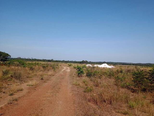 #2332 - Fazenda para Venda em Redenção - PA - 3