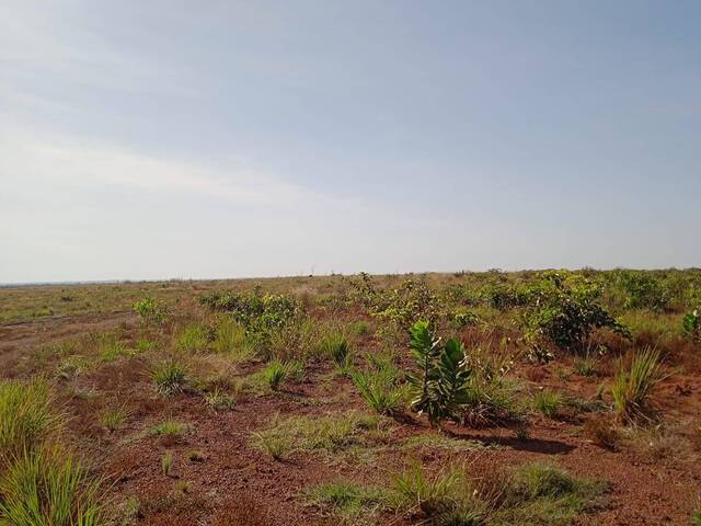 #2332 - Fazenda para Venda em Redenção - PA - 2