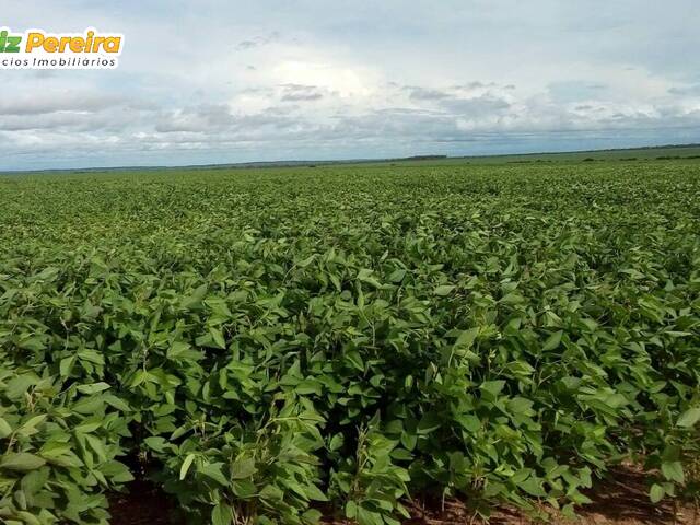 #2333 - Fazenda para Venda em Colinas do Tocantins - TO - 2