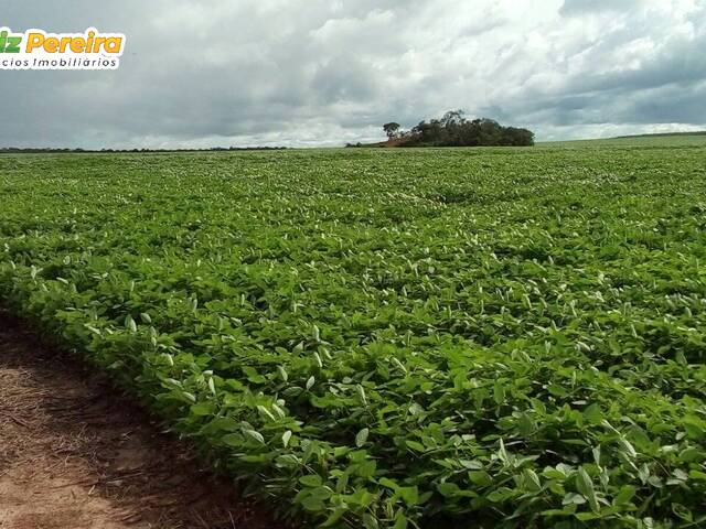 #2333 - Fazenda para Venda em Colinas do Tocantins - TO - 1