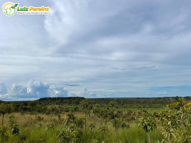 #2335 - Fazenda para Venda em Santa Maria do Tocantins - TO