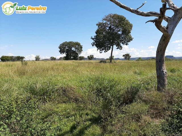 #2336 - Fazenda para Venda em Pedro Gomes - MS - 2