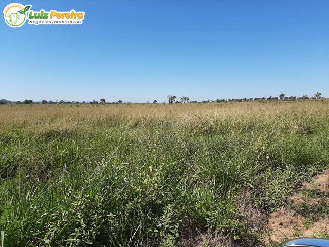 #2336 - Fazenda para Venda em Pedro Gomes - MS - 1