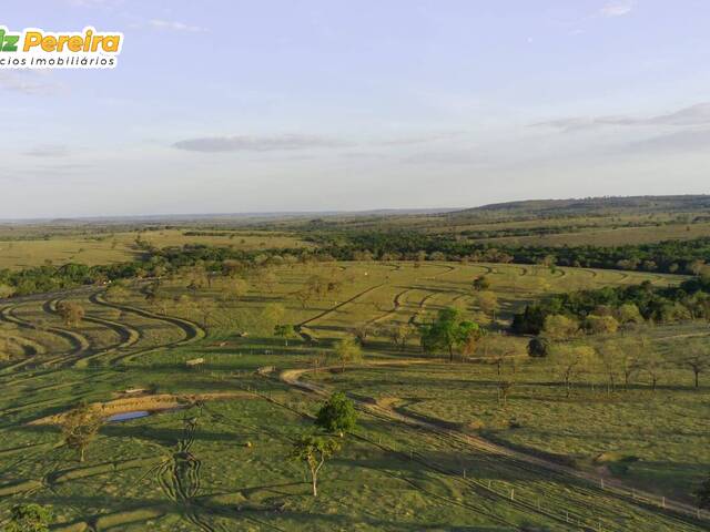 #2345 - Fazenda para Venda em Pedro Gomes - MS - 2