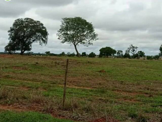 #2347 - Fazenda para Venda em Inocência - MS