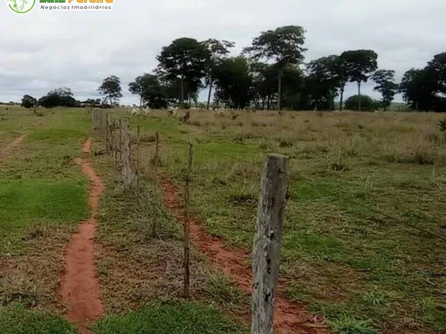 #2347 - Fazenda para Venda em Inocência - MS - 2