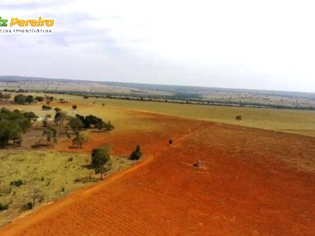 #2349 - Fazenda para Venda em Pedro Gomes - MS - 2