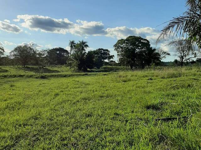 #2346 - Fazenda para Venda em Rochedo - MS - 3