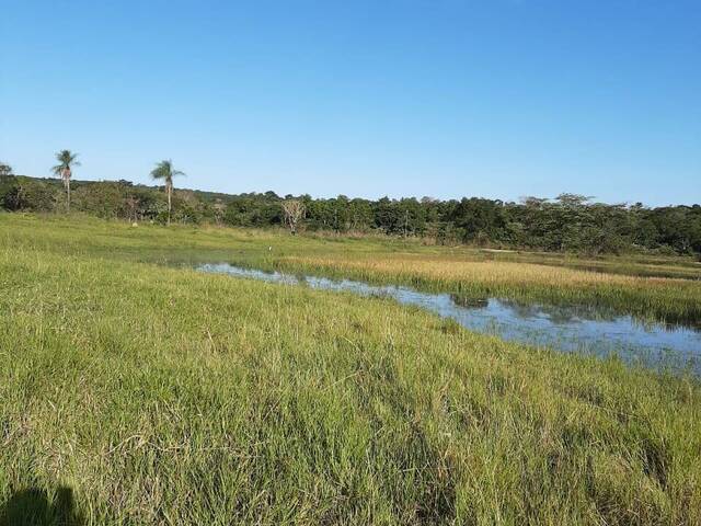 #2346 - Fazenda para Venda em Rochedo - MS - 1