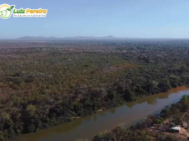 #2350 - Fazenda para Venda em Arraias - TO - 3