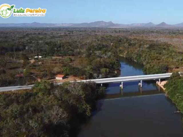 #2350 - Fazenda para Venda em Arraias - TO - 1