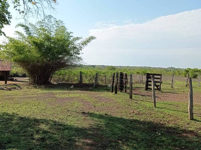 #2353 - Fazenda para Venda em Almas - TO - 1