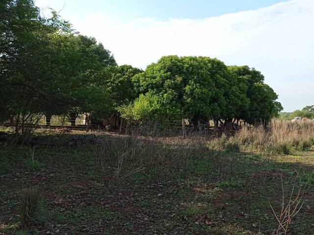 #2353 - Fazenda para Venda em Almas - TO - 2