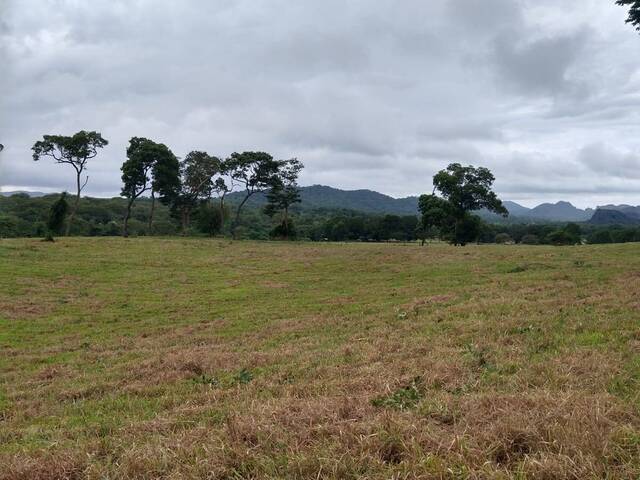 Venda em St Central - Natividade