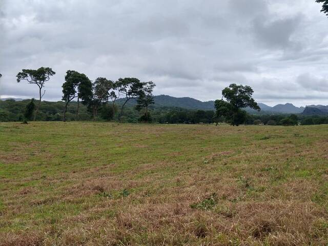 Venda em St Central - Natividade