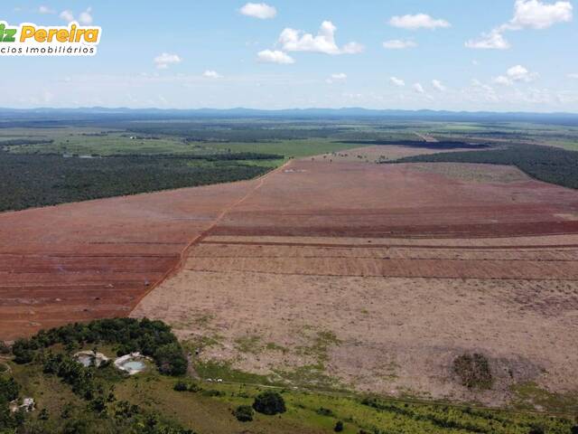 #2355 - Fazenda para Venda em Peixe - TO