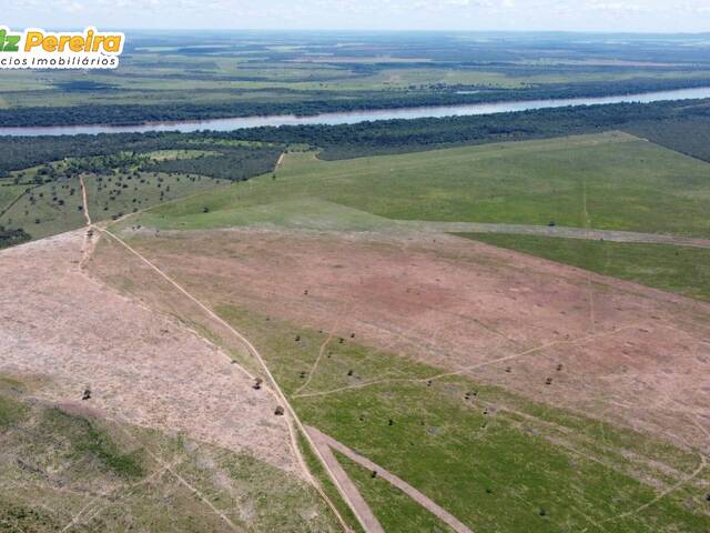 #2355 - Fazenda para Venda em Peixe - TO - 2