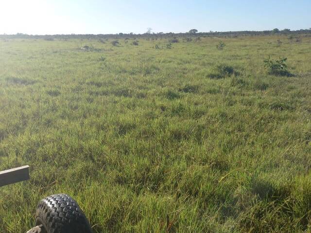 #2357 - Fazenda para Venda em Lagoa da Confusão - TO - 3