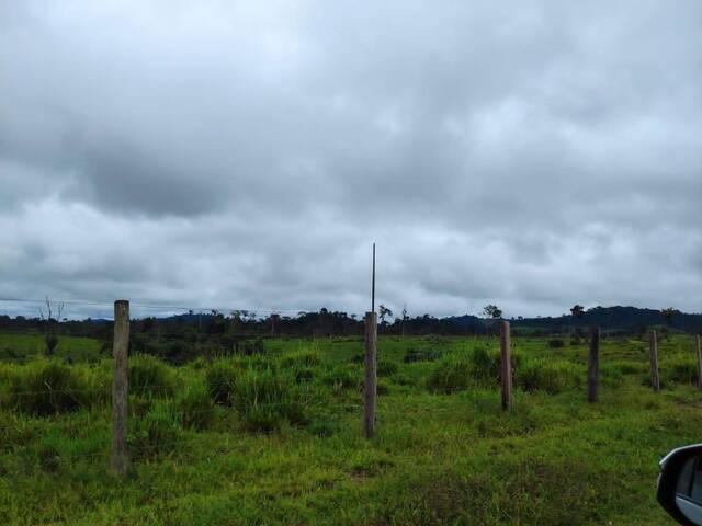 #2358 - Fazenda para Venda em Anapu - PA - 3