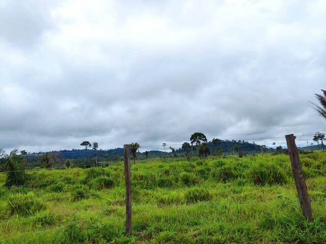 #2358 - Fazenda para Venda em Anapu - PA - 2