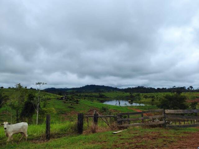 Venda em Cibrazem - Anapu