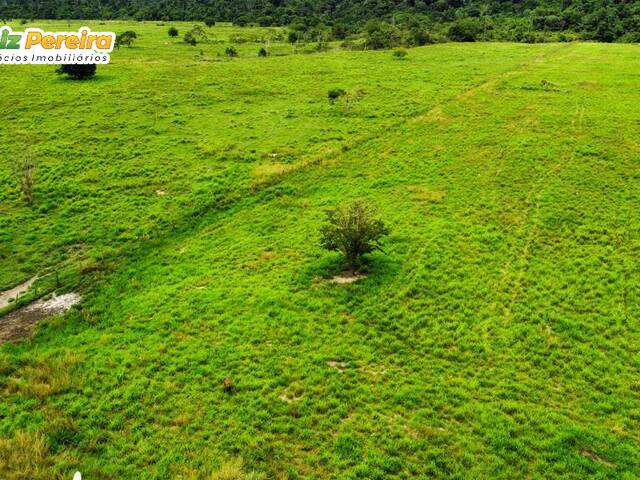 Venda em FLORESTA - Goianésia do Pará