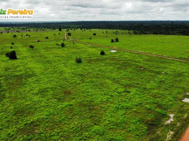 #2361 - Fazenda para Venda em Goianésia do Pará - PA - 3