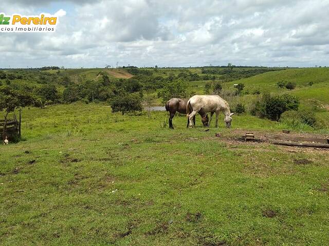 Venda em Zn Rural - Pau d`Arco
