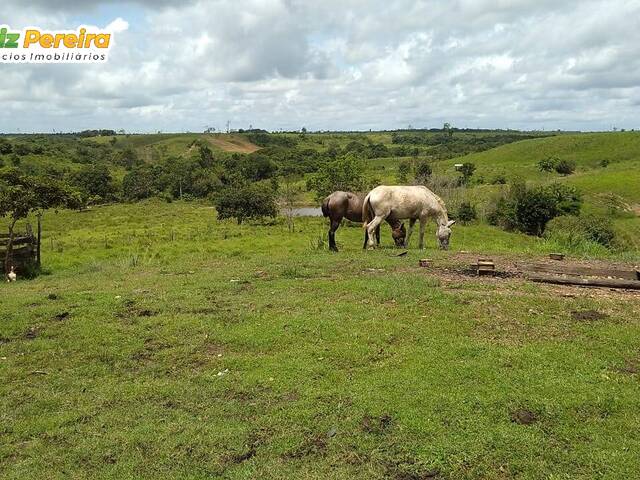 #2362 - Fazenda para Venda em Pau d`Arco - PA