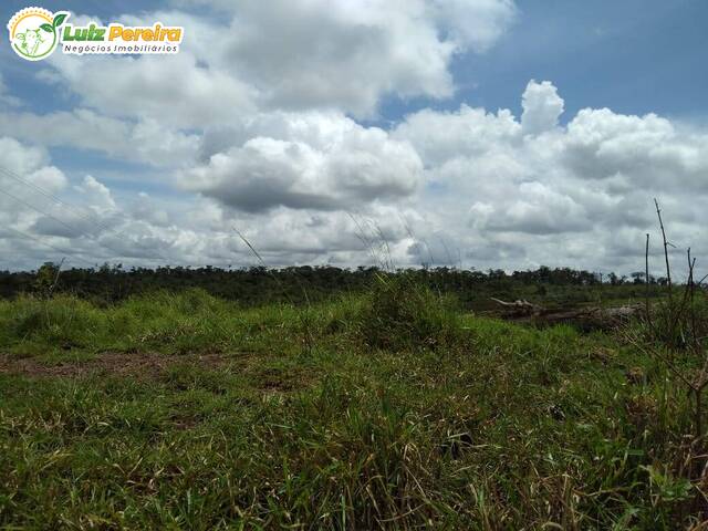 #2362 - Fazenda para Venda em Pau d`Arco - PA - 2