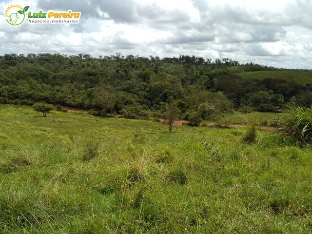 #2362 - Fazenda para Venda em Pau d`Arco - PA - 3