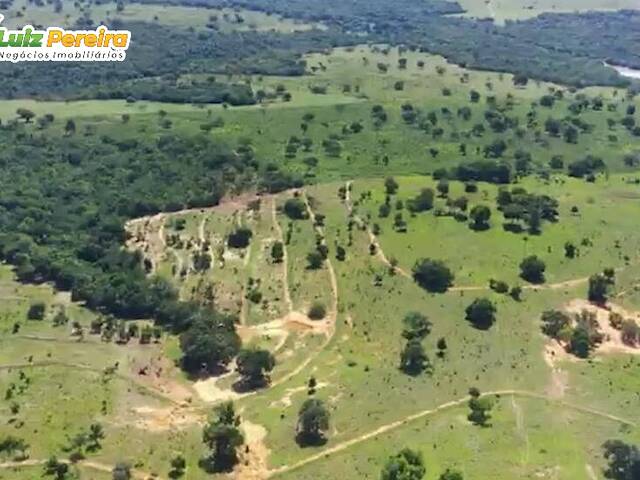 #2341 - Fazenda para Venda em Pedro Gomes - MS - 1