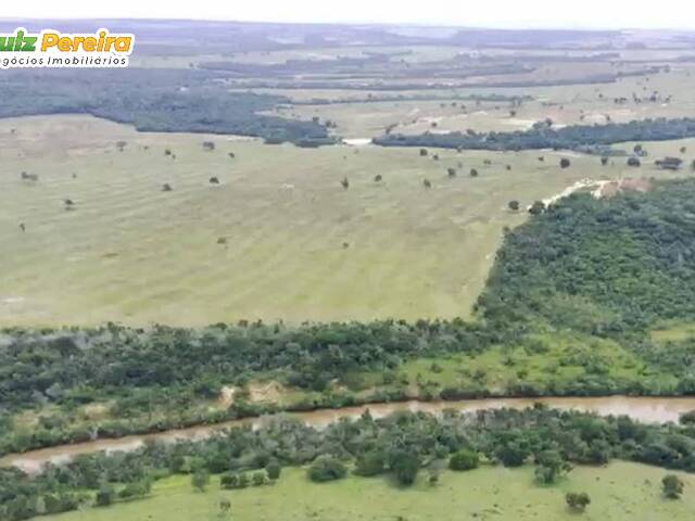 #2341 - Fazenda para Venda em Pedro Gomes - MS - 3