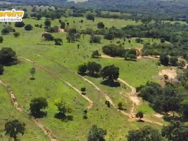 #2341 - Fazenda para Venda em Pedro Gomes - MS - 2