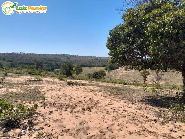 Fazenda para Venda em Coxim - 4