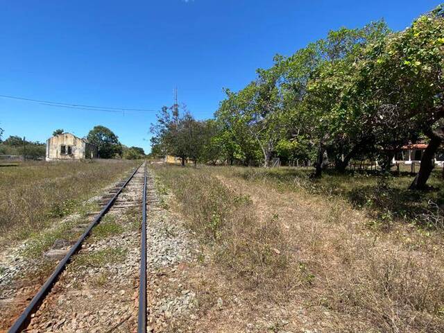 #2365 - Fazenda para Venda em Caxias - MA - 3