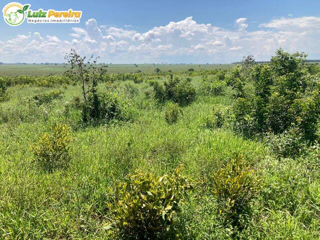 #2371 - Fazenda para Venda em Ribas do Rio Pardo - MS - 1