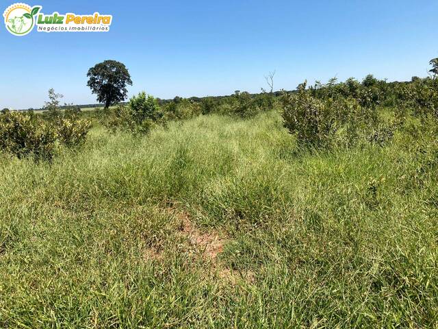 #2371 - Fazenda para Venda em Ribas do Rio Pardo - MS - 2